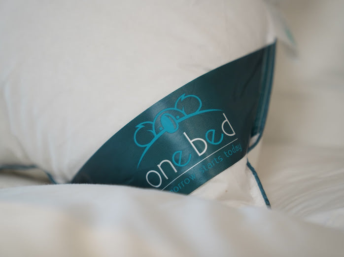 PACK DUO : 2 OREILLERS ONEBED EN DUVET DE CANARD BLANC NEUF / CONFORT HÔTEL