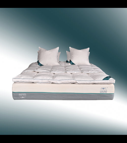 PACK PLATINIUM ONEBED EN DUVET DE CANARD