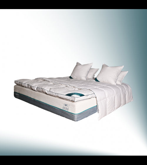 PACK PLATINIUM ONEBED EN DUVET DE CANARD